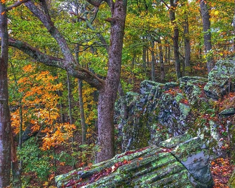Explore the Blue Ridge Parkway Full-Day Tour From Asheville