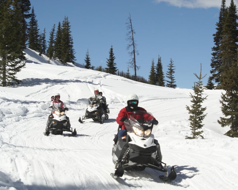 3-Hour Snowmobile Tour in the San Juan Mountains