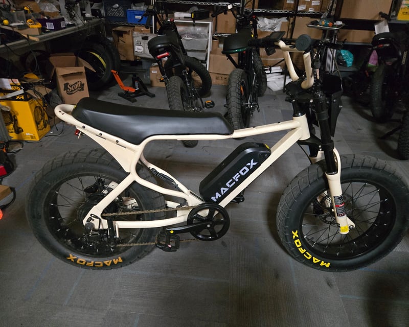 E-Bike Rental in Santa Cruz with Throttle & Pedal Assist