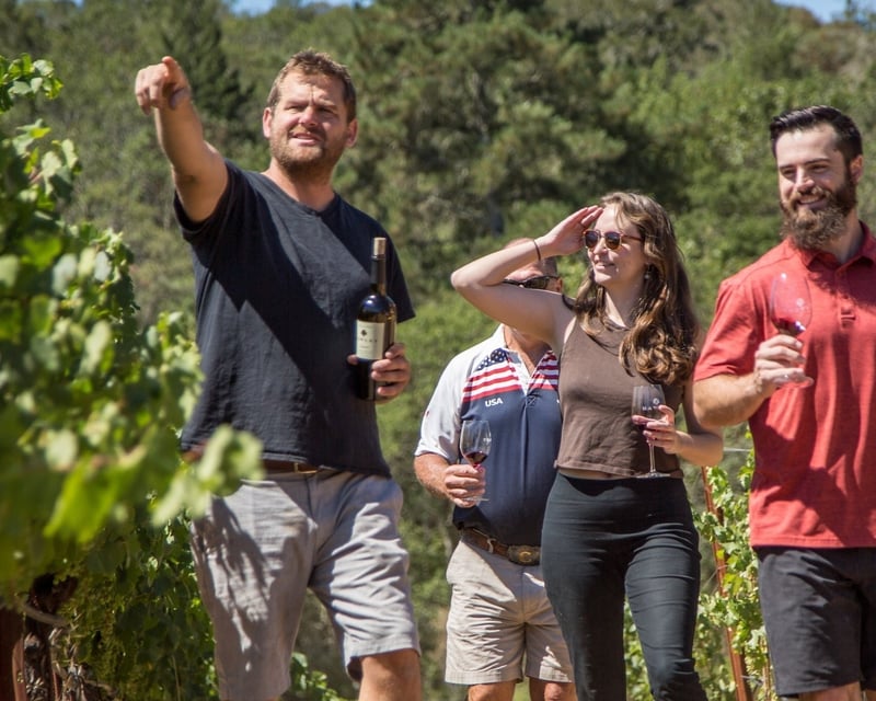 Guided Vineyard Tour & Wine Tasting in Healdsburg