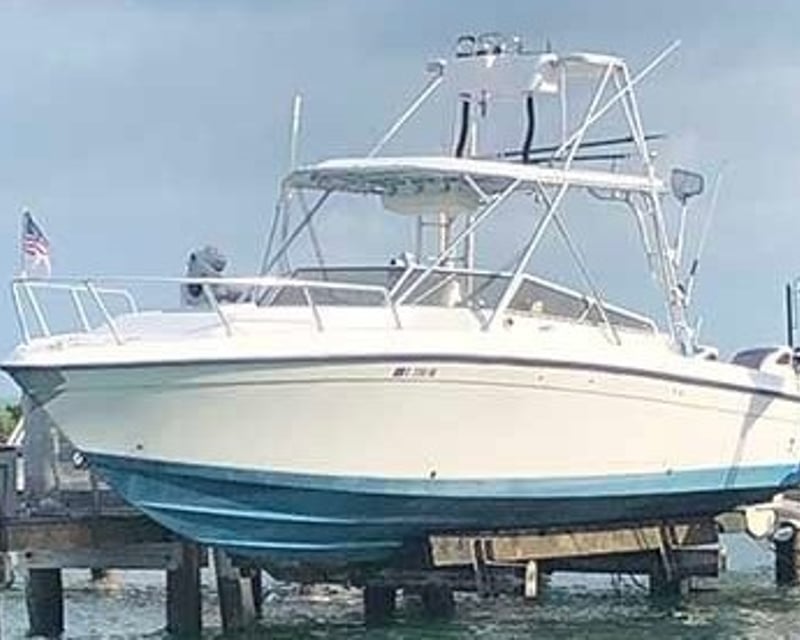 4-Hour Tarpon Fishing Charter in Marathon