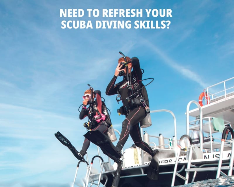 PADI Reactivate Scuba Refresher Course in La Jolla