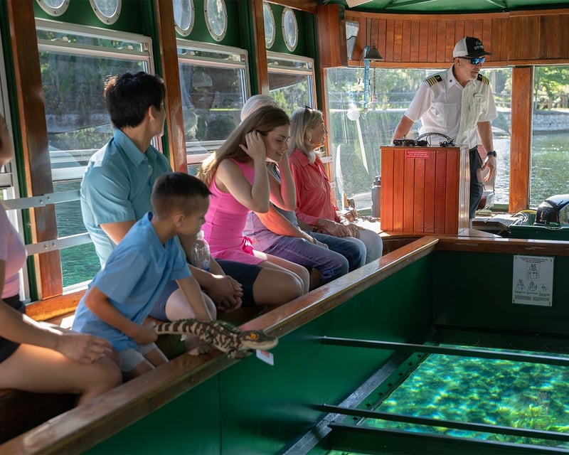 90-Minute Glass Bottom Boat Tour in Silver Springs