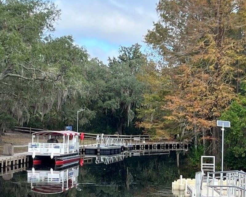 Dead River Eco Boat Tour at Lake Griffin State Park