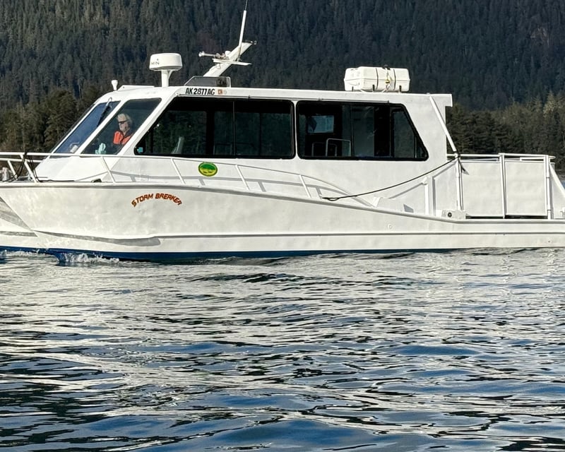 Whale & Wildlife Watching Tour in Hoonah, Alaska