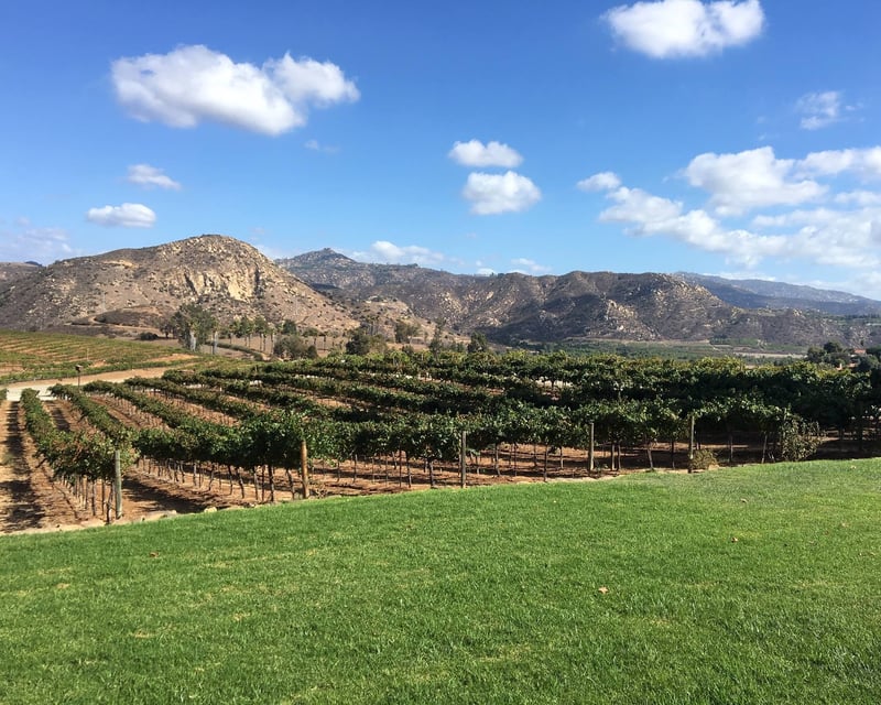 San Diego Two-Winery Wine Tour