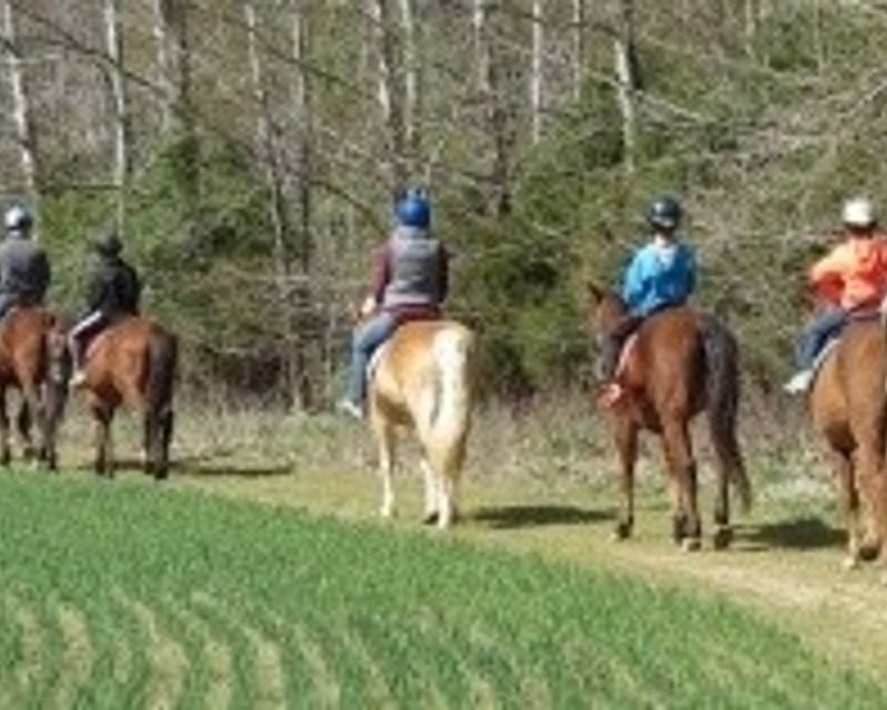 Patuxent River Horseback Trail Ride in Hollywood, MD