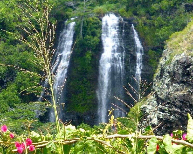 Kauai Eastside Waterfalls & Local Food Tour