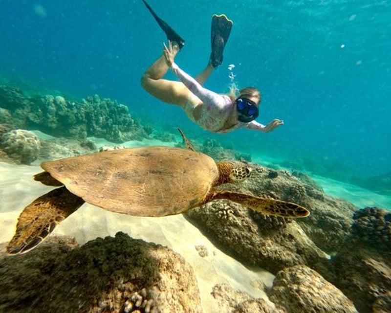 Black Sand Beach & Sea Turtle Snorkel Tour in Hilo
