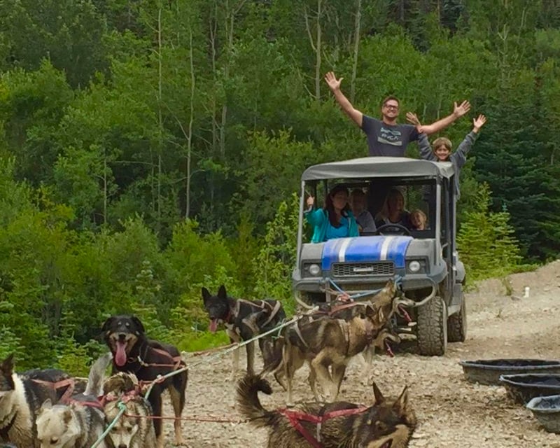 Explore Emerald Lake & Tutshi Dog Mushing Camp