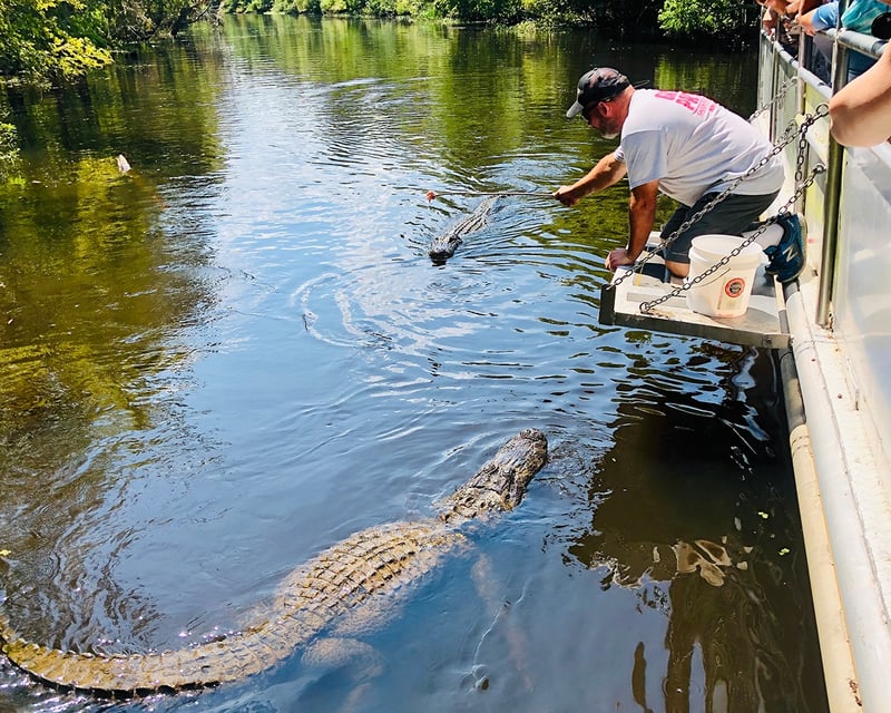 Swamp Boat & River Road Plantation Tour from New Orleans