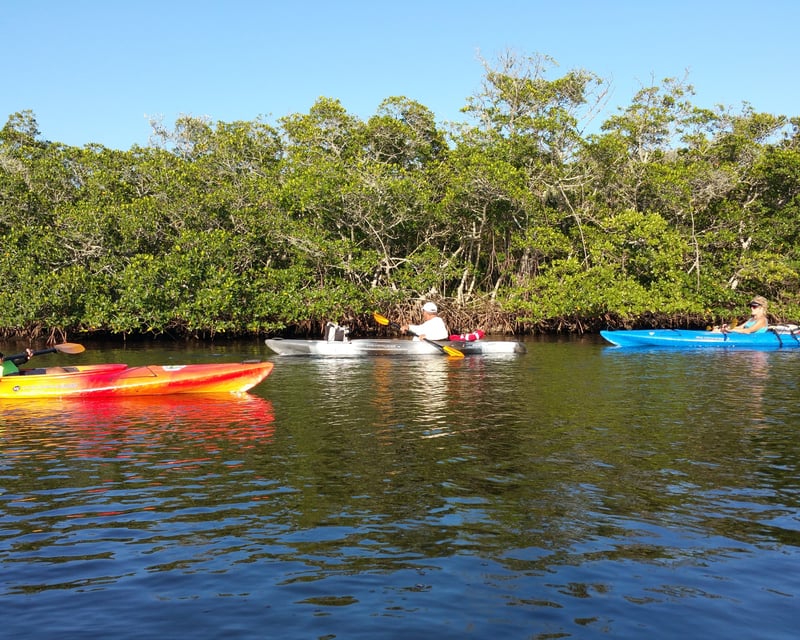 Siesta Key Kayak & Paddleboard Rental