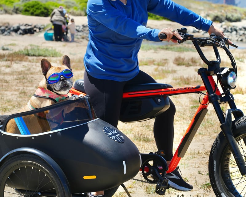 San Francisco Dog-Friendly Guided E-Bike Tour