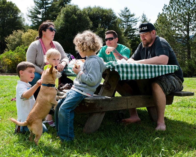 Picnic Basket Meal in Felton
