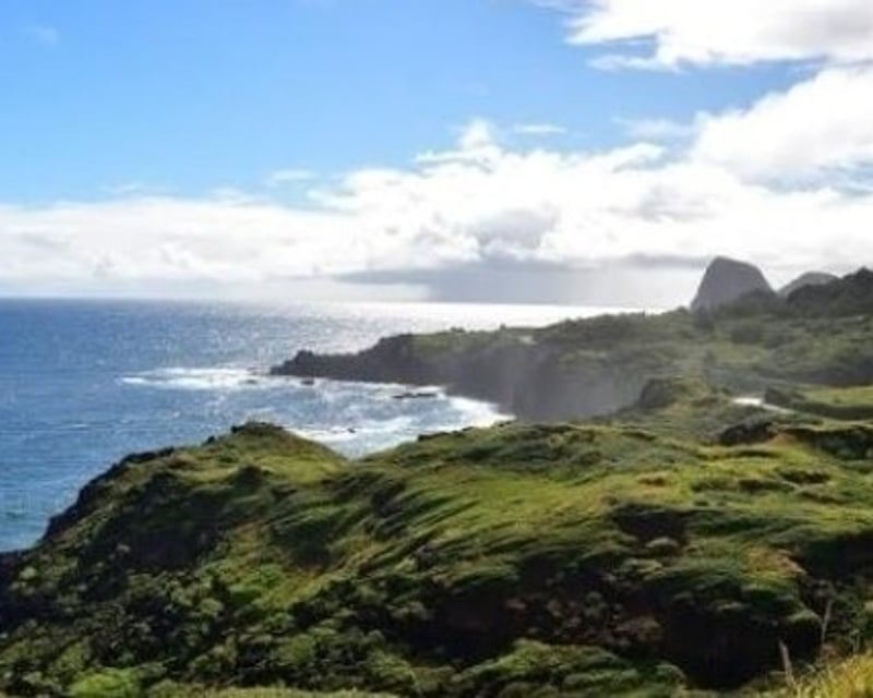 Private Road to Hana Half-Day Tour on Maui