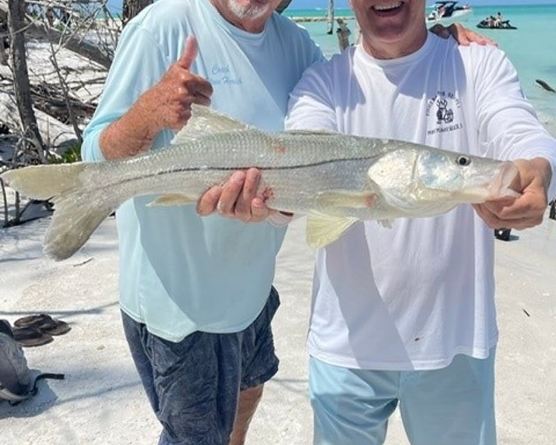Guided Beach Snook Fishing Trip in Sarasota