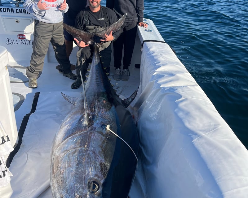Private Full-Day Giant Bluefin Tuna Charter in Gloucester