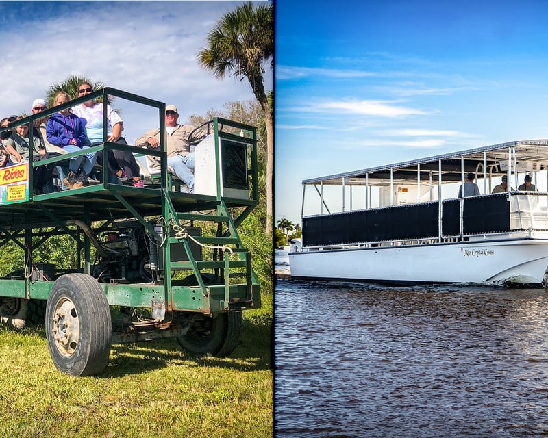 Swamp Buggy & Everglades National Park Boat Tour