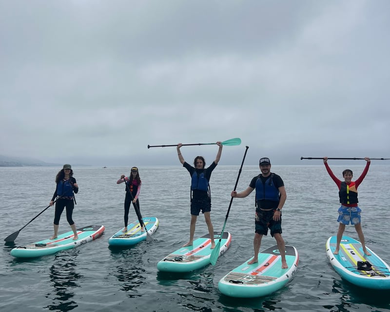 Guided Ocean Stand Up Paddleboard Tour in Laguna Beach
