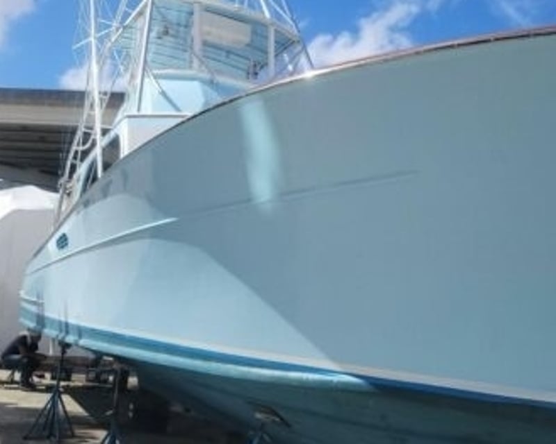 Islamorada Shark & Tarpon Fishing Charter