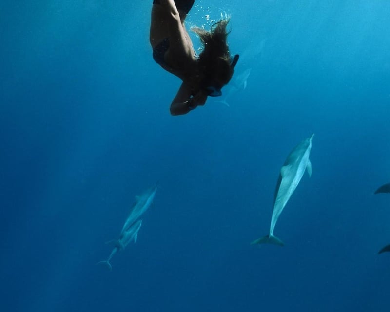 Lanai Snorkeling & Dolphin Search from Lahaina