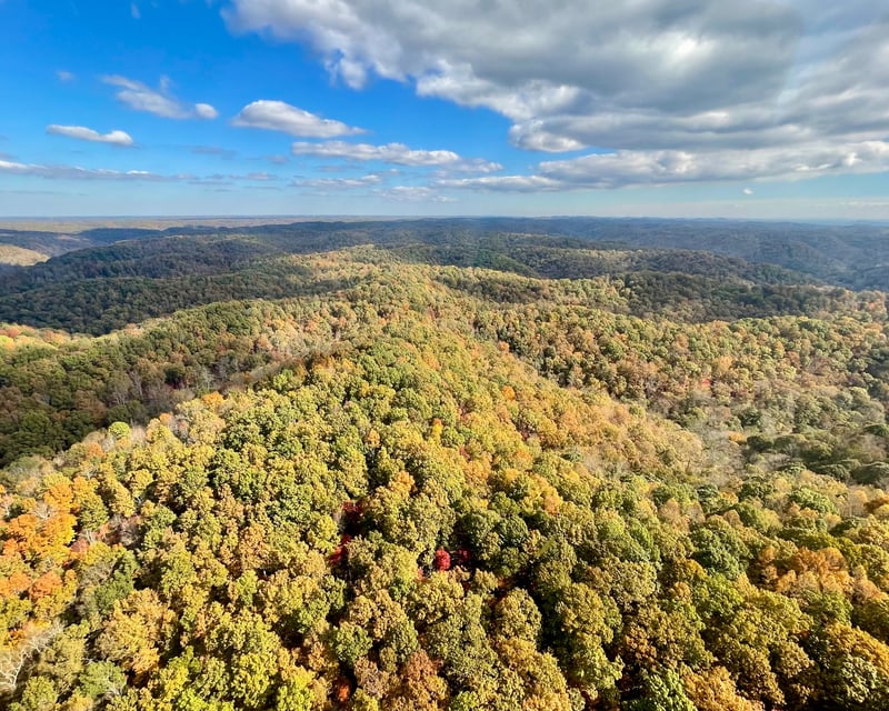 Fly a 30-Minute Cumberland River Helicopter Tour