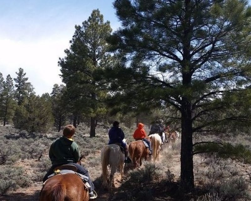 Trail Ride in Kaibab National Forest Near Grand Canyon