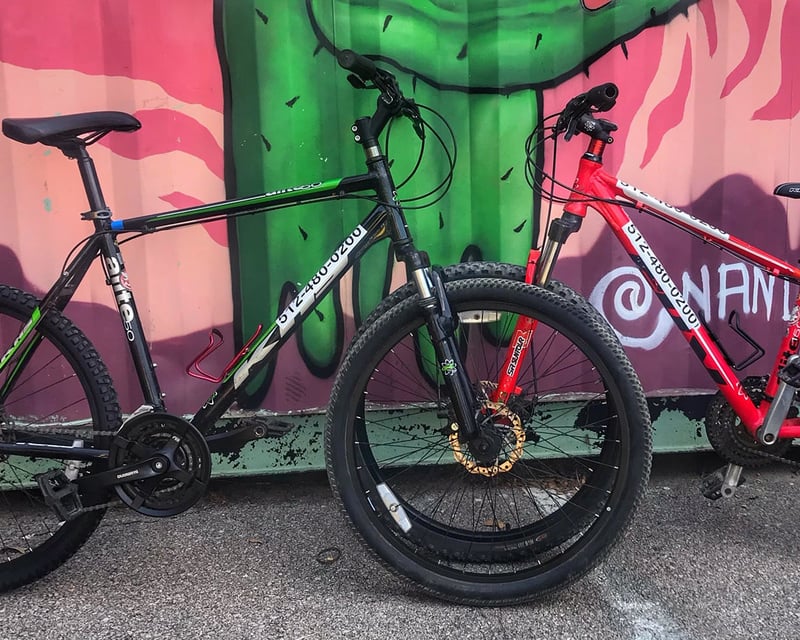 Mountain Bike Rental for Downtown Trails