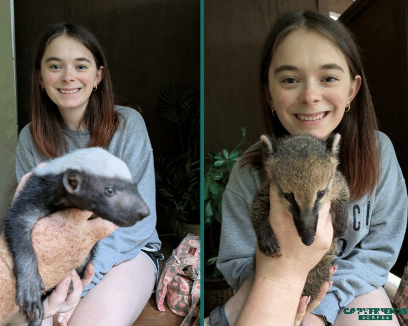 Meet Baby Animals & Capybaras in Helen