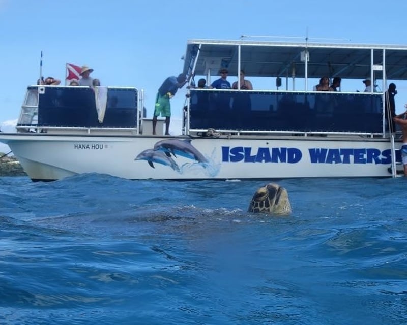 Honolulu Turtle Snorkeling Cruise