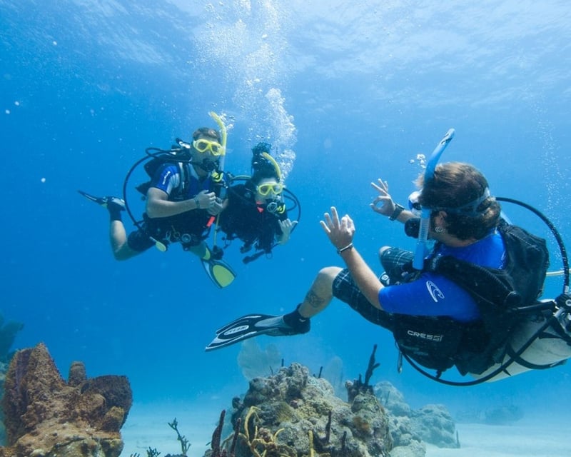 Electric Beach 1-Tank Shore Dive