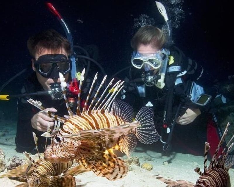 Night Diving Course in Miami Beach