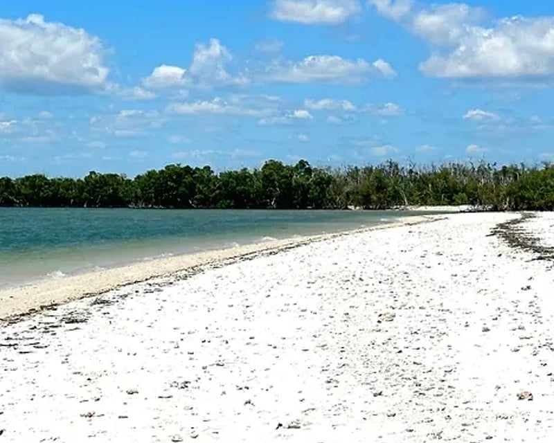 Private Ten Thousand Islands Shelling & Eco Boat Tour
