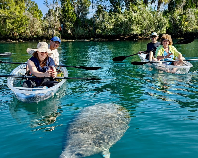 Manatee Season Clear Kayak Tour in Crystal River