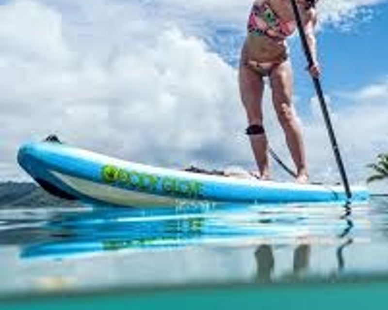 Marco Island Paddleboard Rental