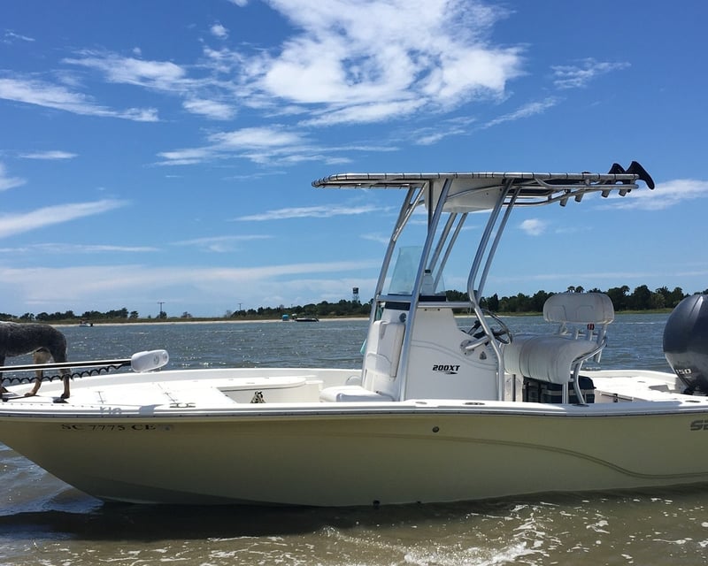 3-Hour Boat Charter in Mount Pleasant