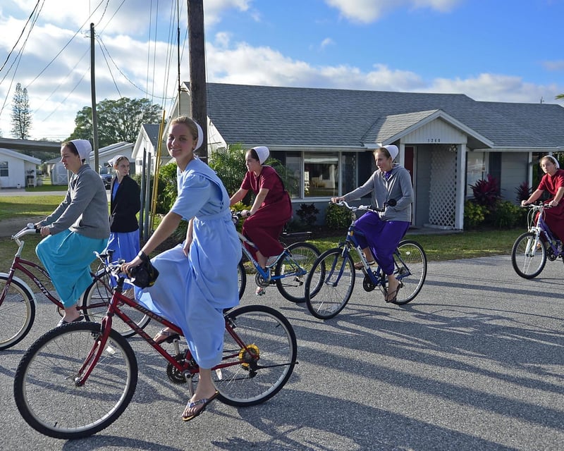 Guided Amish Culture Tour of Sarasota