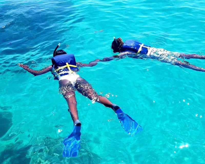 Coral Reef Snorkel Tour in Islamorada