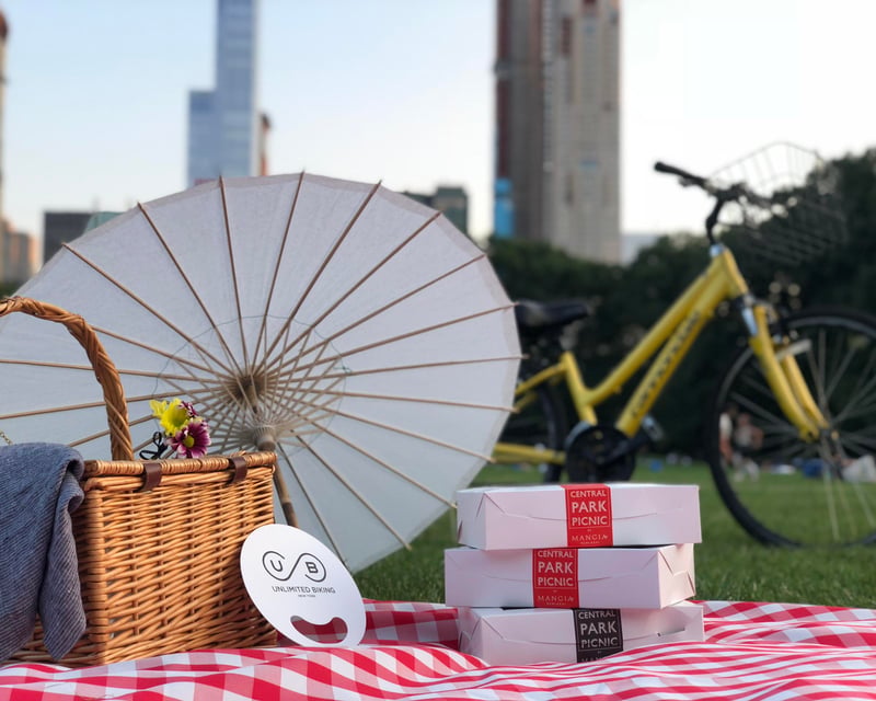 Enjoy a Central Park Picnic & Full-Day Bike Rental