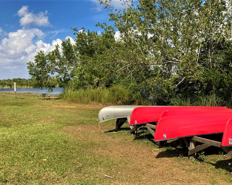 4-Hour Canoe Rental at 9 Mile Pond