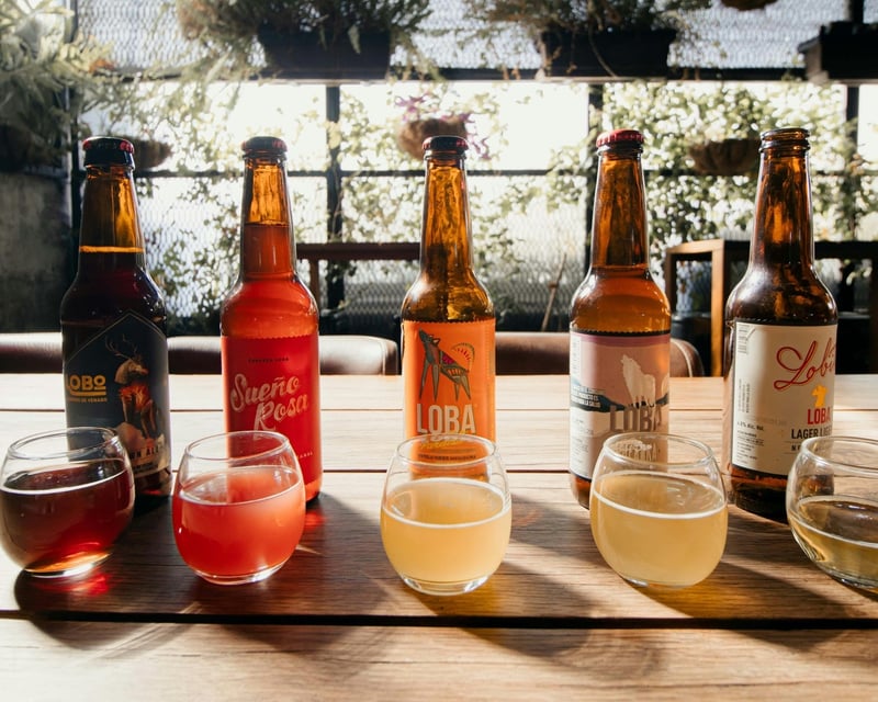 Beer Sensory Tasting Class in Duluth