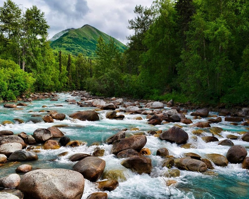 Hatcher Pass Mining History Guided Tour