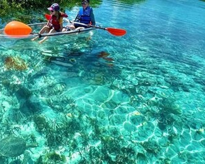 Rainbow River Crystal Clear Kayak Tour