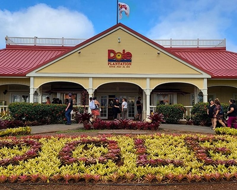 Explore Oahu on a 9-Hour Circle Island Bus Tour