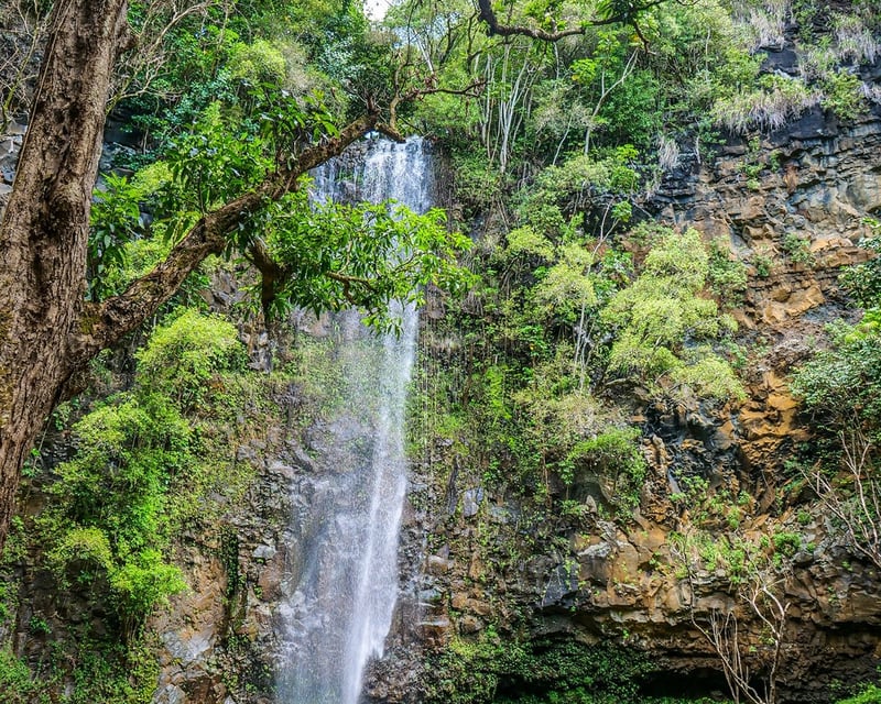 Full-Day Tandem Kayak Rental in Kapaa, Kauai