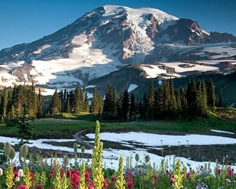 Full-Day Mount Rainier Guided Tour From Seattle