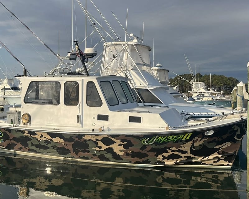 Bay & Ocean Fishing Charter in Rehoboth Beach