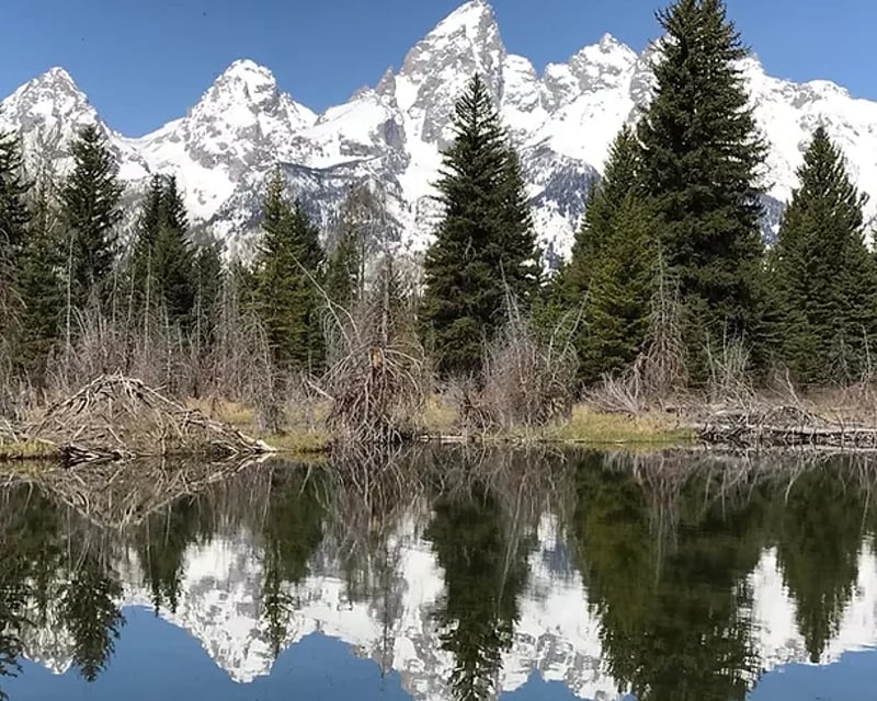 Grand Teton Private Guided Day Tour From Jackson