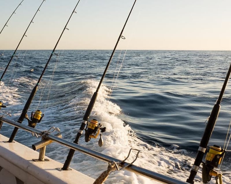 Panama City 4-Hour Fishing Charter