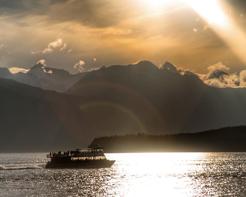 Evening Whale Watching Cruise in Juneau